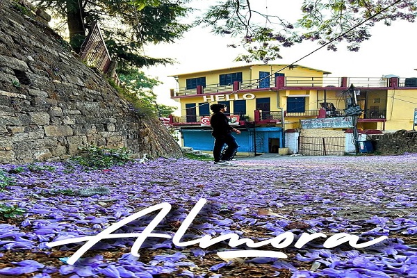 bageshwar to almora cabs